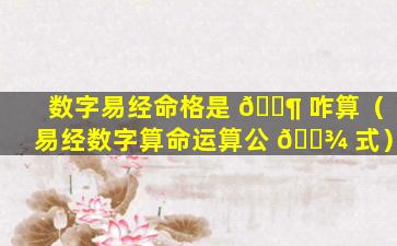 数字易经命格是 🐶 咋算（易经数字算命运算公 🌾 式）